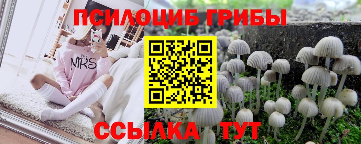Феодосия  купить наркоту  Вход с VPN  Галлюциногенные грибы MAGIC MUSHROOMS 