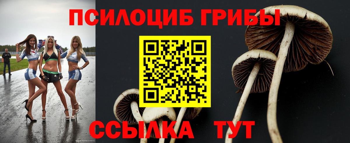 Псилоцибиновые грибы MAGIC MUSHROOMS Феодосия